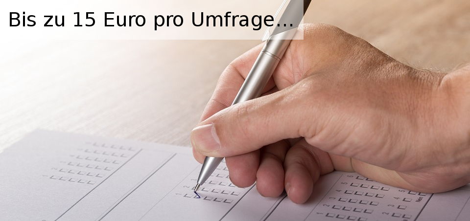 Geld verdienen mit Umfragen
